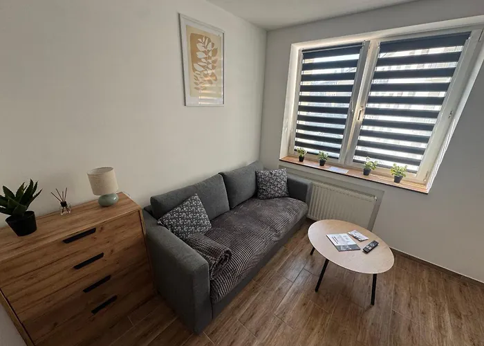 Apartmán Apartamentsbymatyrafa-xi Tarnowskie Góry