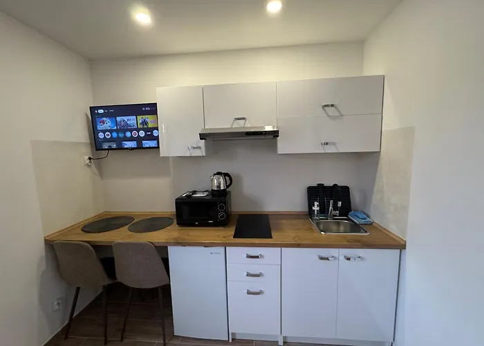 Apartmán Apartamentsbymatyrafa-xi Tarnowskie Góry